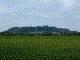 Le Mont Dol - 176 ko -