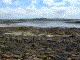 Le lagon à marée basse - 284 ko -