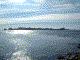 Le bras de mer qui nous sépare de l'île à marée haute - 274 ko -